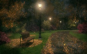 Night-Autumn